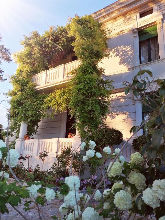 Villa Giordanelli Scalea Zewnętrze zdjęcie